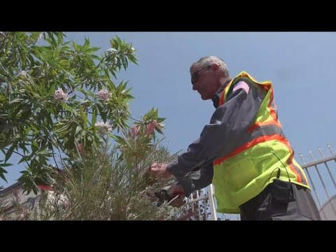 City of La Mesa recognized as "age friendly employer"