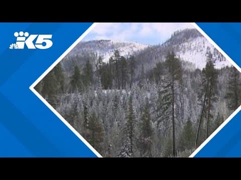 Blewett Pass sees heavy snow