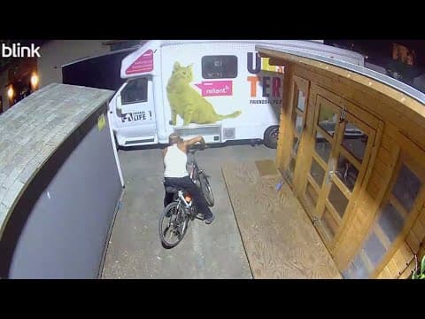 Heights-area shelter says break-ins are stealing from animals and people who need help most