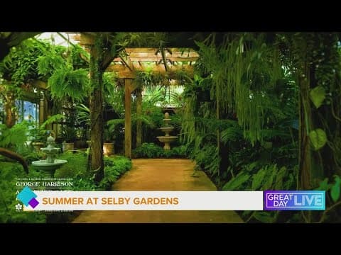 Summer at Marie Selby Gardens