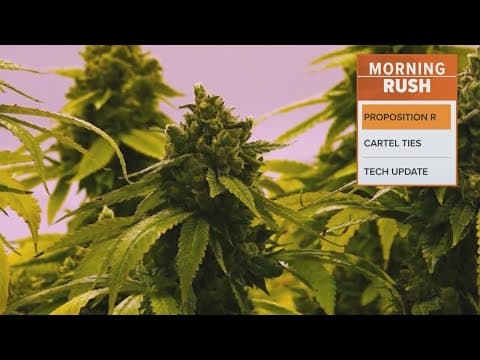 Dallas agrees to block enforcement of marijuana proposition after court ruling