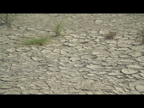 2024 expected to be one of the hottest years in recorded history