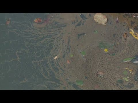 EPA increasing response to Smitty's cleanup