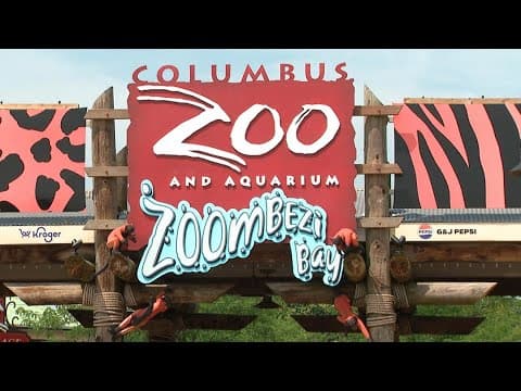 Ohio state auditor releases report on Columbus Zoo's misuse of funds