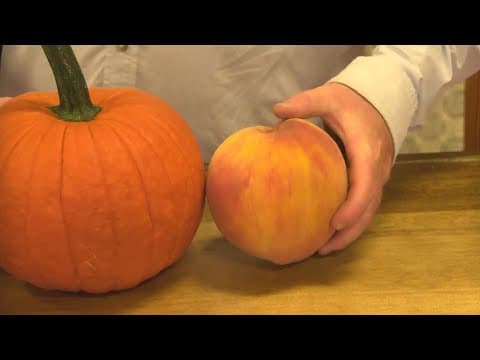 DMV Guinness World Record winners