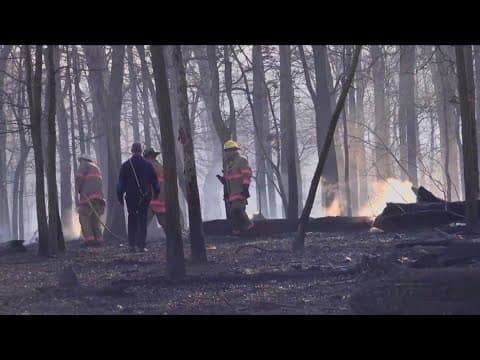 Environment Matters | Here's why we might be seeing more brush fires in our changing climate