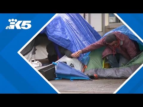 King County withdraws $1M offer to create pallet shelters in Burien