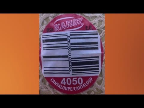 YouTube thumbnail for video yZrLHBTfrDE
