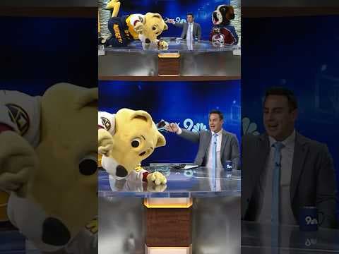 Rocky and Bernie celebrate Nuggets, Avalanche games coming to 9NEWS