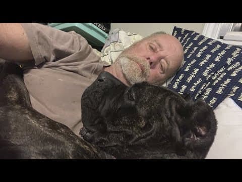 Dog dies after saving life in house fire