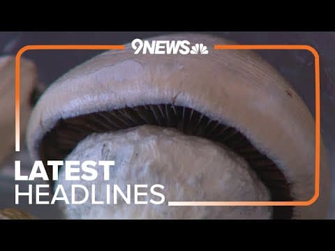 Latest Headlines | CDOT campaign targets psychedelic DUIs