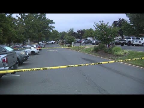 14-year-old boy shot dead in Annandale drive-by shooting