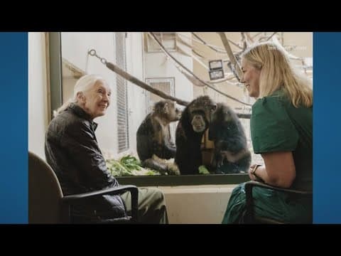 Jane Goodall, the celebrated primatologist and conservationist, has died
