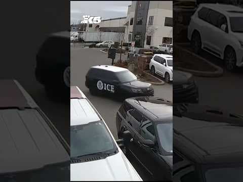 Suspected ICE imposters target Ukrainian grocery store