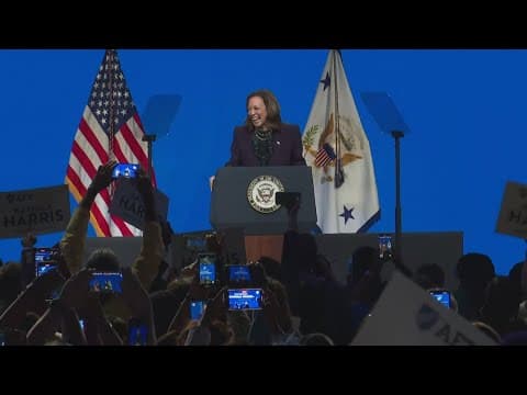 Democratic delegates vote Kamala Harris the official presidential nominee