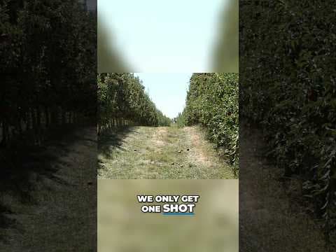 Lynd Fruit Farm to crack down on apple theft this season #shorts