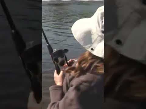 KARE 11's Samie Solina catches fish on air