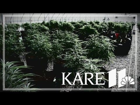 Office of Cannabis Management asks public to help write rules