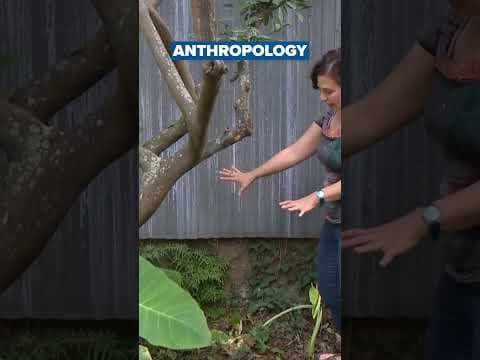 Ancient Roman tombstone discovered in New Orleans backyard