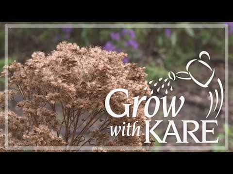 Grow with KARE: Flowers for birds in winter