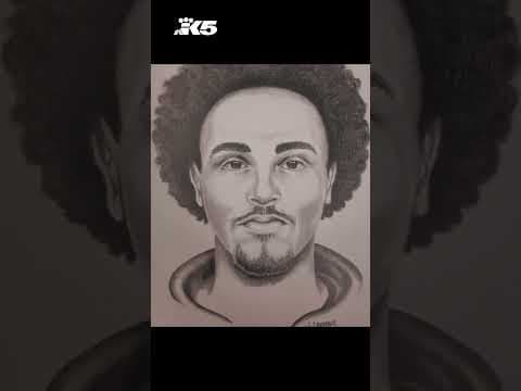 Police release sketch of possible Point Defiance Park stabbing suspect