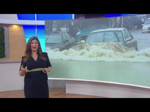 Conserve and collect rain water | Working for Our Planet