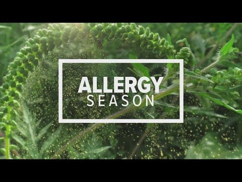 Ah-choo! Allergy season in full effect