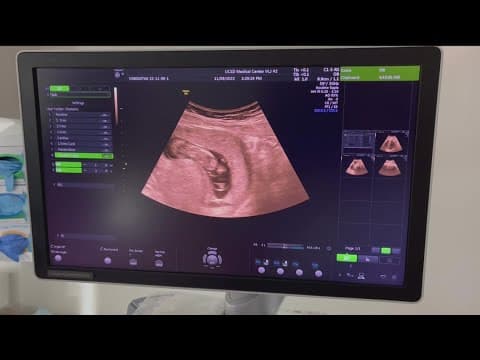 Neda gives a life update and shares some very exciting news!