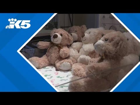 Teddy bears bring hope to grieving families at Puyallup hospital