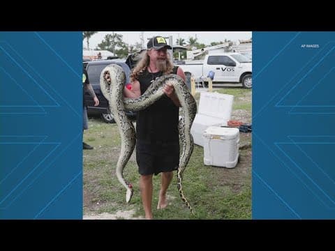 Man wins $10,000 for removing 20 Burmese Pythons in Florida Python Challenge