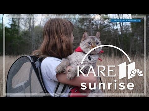 Waconia passes ordinance to leash cats in public