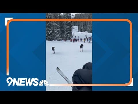 Moose spotted on slopes at Winter Park
