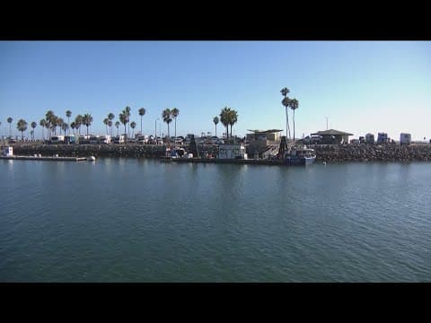Four injured in baseball bat assaults in Oceanside