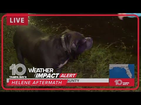 Pets, owners rescued in Citrus County after Helene