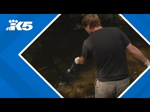 Bellingham group takes 'guerrilla' approach to Whatcom Creek trash problem