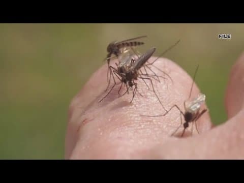 Second Orleans Parish resident contracts West Nile virus