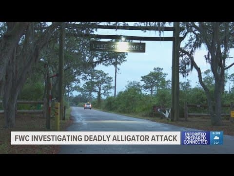 Florida wildlife officials investigating deadly alligator attack in Polk County