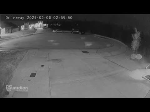 A roaming pack of stray dogs terrorizing North Texas neighborhood