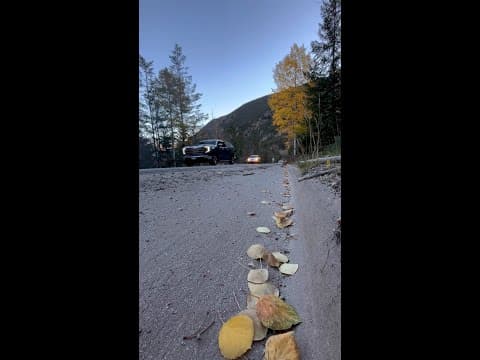 Leaf peeping on Guanella Pass