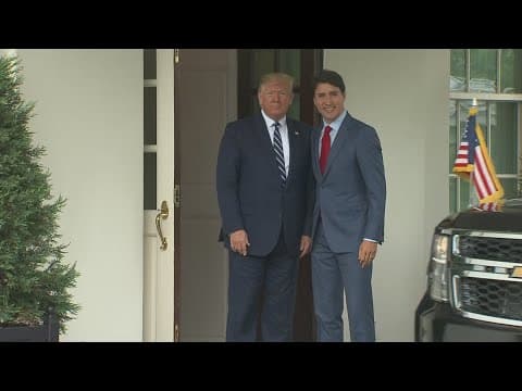 President Trump pauses tariffs on Mexico, Canada