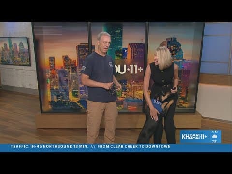 Falls send older adults to ERs every 11 seconds — how to help prevent them