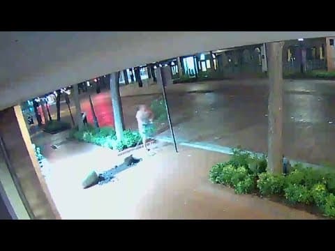 Fort Worth police want help finding a "plant vandal"