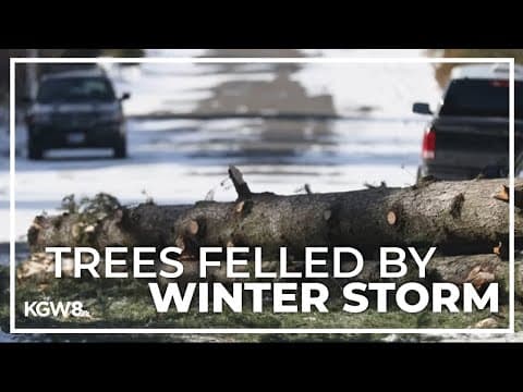 Portland metro reeling from destruction, ongoing power outages caused by downed trees