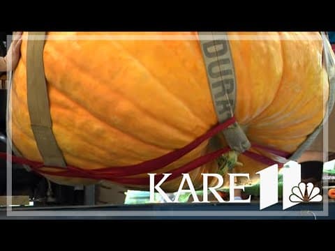 Loading the giant pumpkins at the Fair