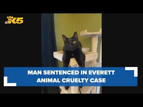 Man sentenced to 3 years of mental health treatment after shooting animals