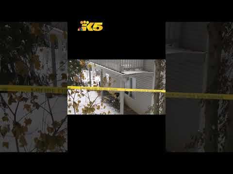 Trial of Bryan Kohberger may not happen until 2025 #shorts