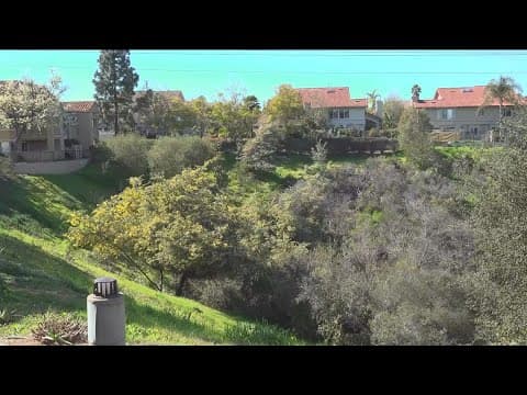 State legislators respond to condo insurance crisis from wildfire risk