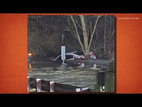 Turn around don't drown: Authorities rescue stranded driver after getting stuck in flood waters