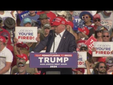 Political analyst weighs in on how Trump assassination attempt could impact election