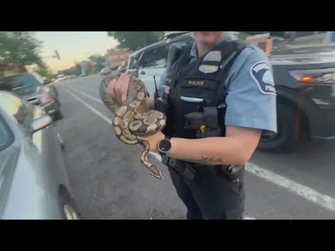 Rideshare driver finds snake in backseat